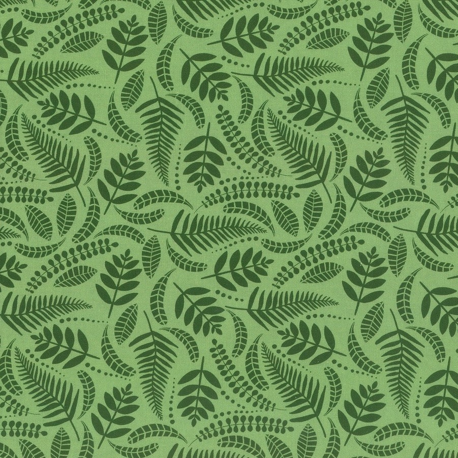 Fern Forest